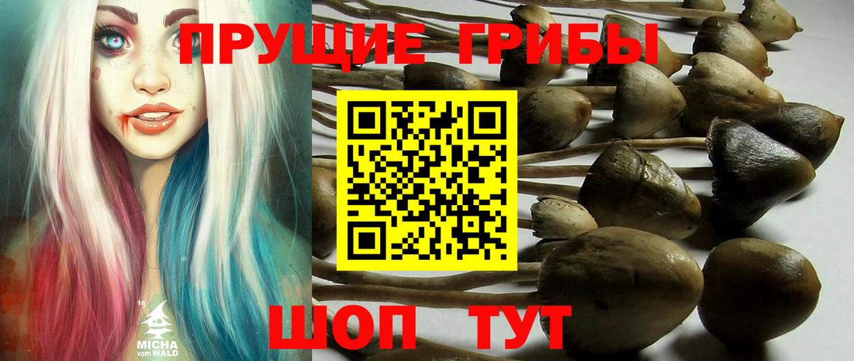 Псилоцибиновые грибы прущие грибы  что такое наркотик  Иркутск  Вход с VPN 
