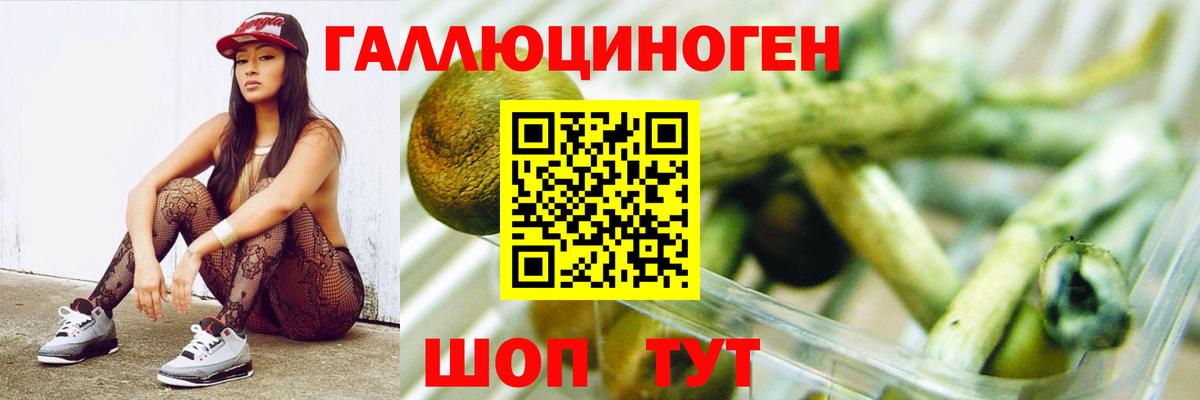 Псилоцибиновые грибы Cubensis Иркутск