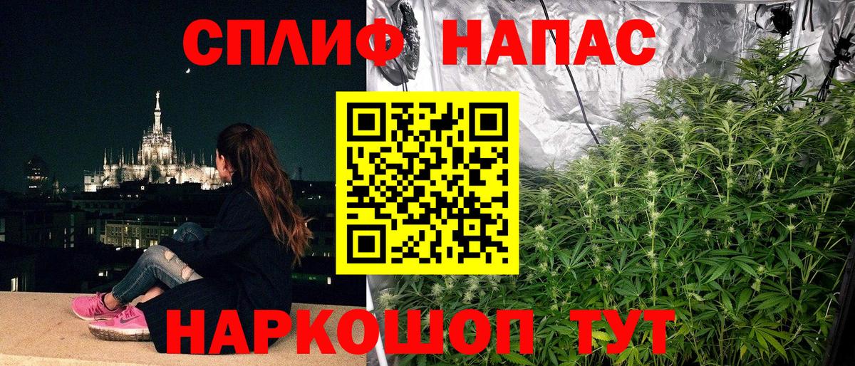 Бошки Шишки SATIVA & INDICA Иркутск